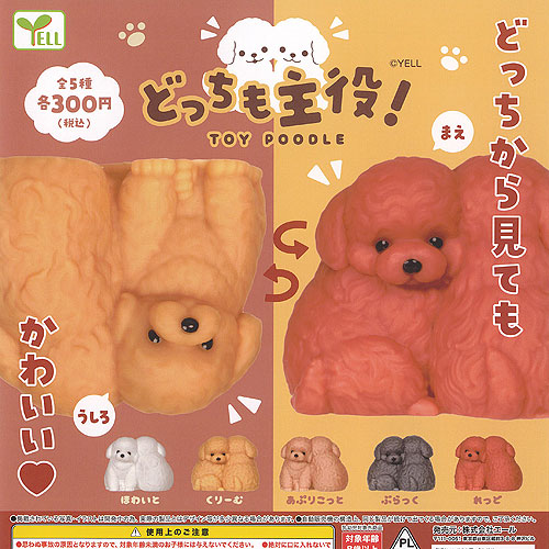 楽天市場】手のひらサイズのトイプードル ぬいぐるみ 全5種