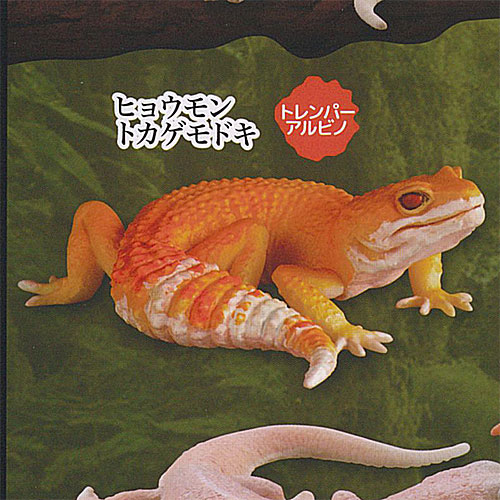 楽天市場】カプセルQ ミュージアム ヤモリ 大全 2 クレステッド