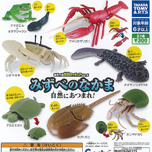 亀　フィギュア　ガチャ　バンダイ　ミルキーカラー　赤目 あそべる生物フィギュアシリーズ 世界の亀たち2｜商品情報