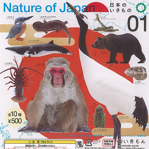 楽天市場】ネイチャーテクニカラー Nature of Japan 日本の