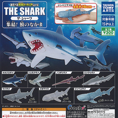 楽天市場】サメ金魚 全5種セット コンプ コンプリートセット
