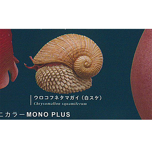 楽天市場】カプセル 奇譚クラブ ネイチャーテクニカラーMONOマメ