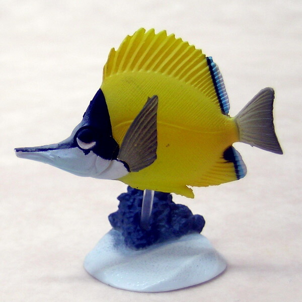 楽天市場】キイロハギ 原色海水魚図鑑I チョコエッグ系フィギュア