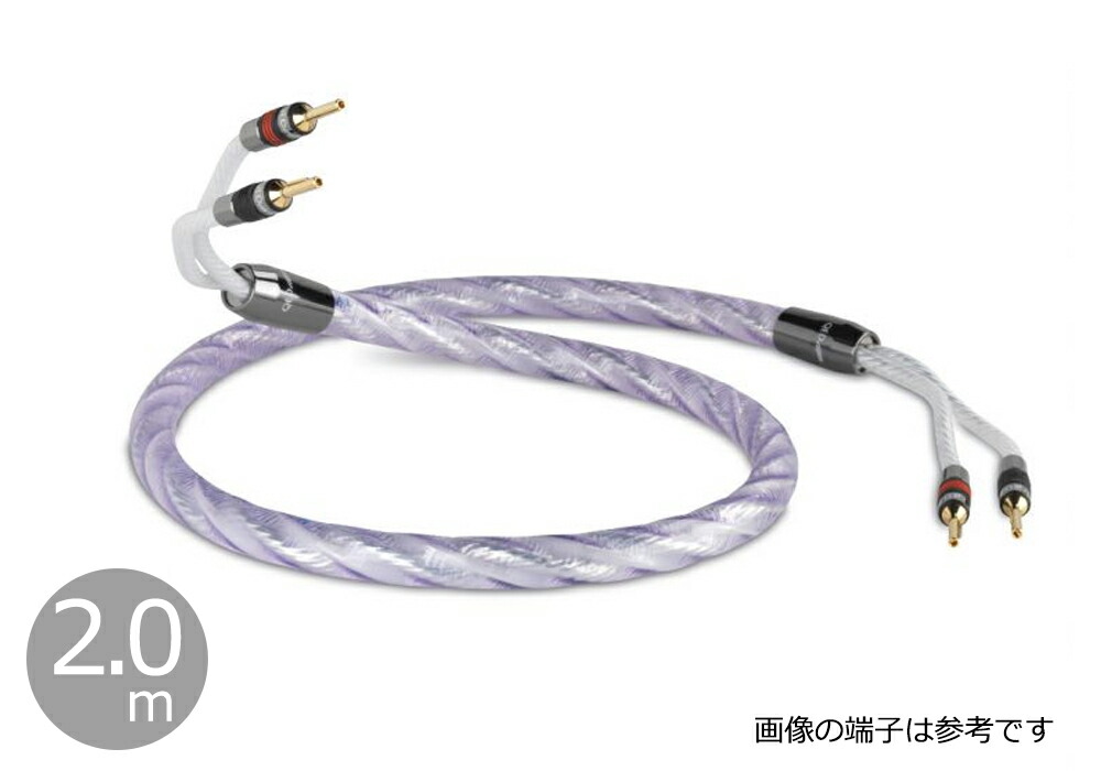 楽天市場】QED - Signature Revelation/1.5m（完成品スピーカー