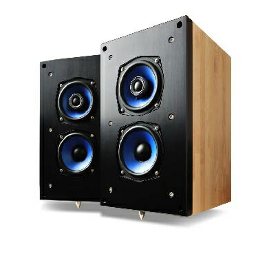 【納期案内書：受注生み出すこと品：お問い掛け下さい】Fundamental RM10Z（2本1組） リファレンスモニタースピーカー 第一義的