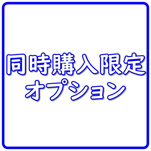 【クリーン電源同時購入限定商品】KOJO　出力電圧100Vを117Vに変更する料金（対象・Aray MKIIおよびSE・Aray 6 MKII・DA6等）