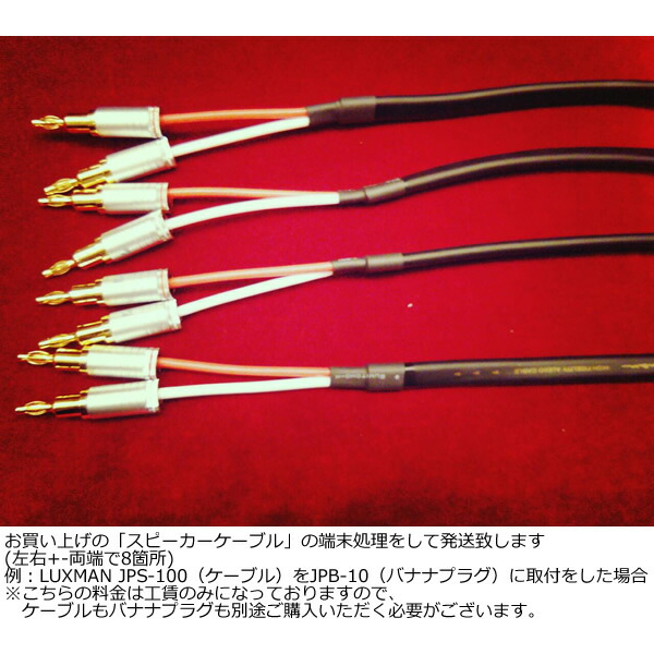 tamatsu2000_1.jpg