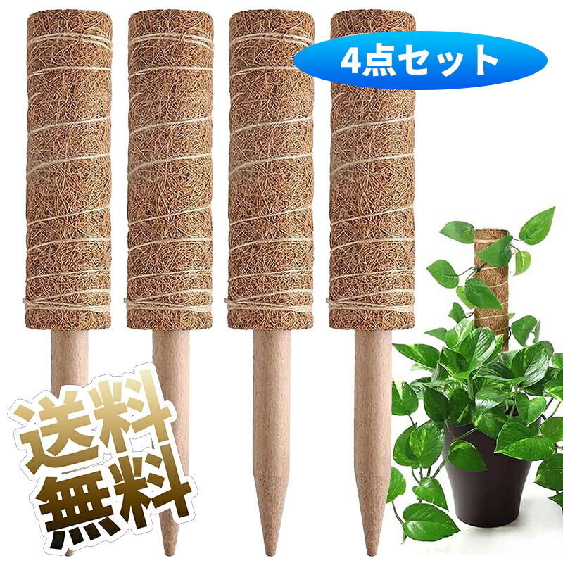 モンテスラ様　専用 楽天市場】ココスティック 4本セット 約40cm モンステラ 園芸