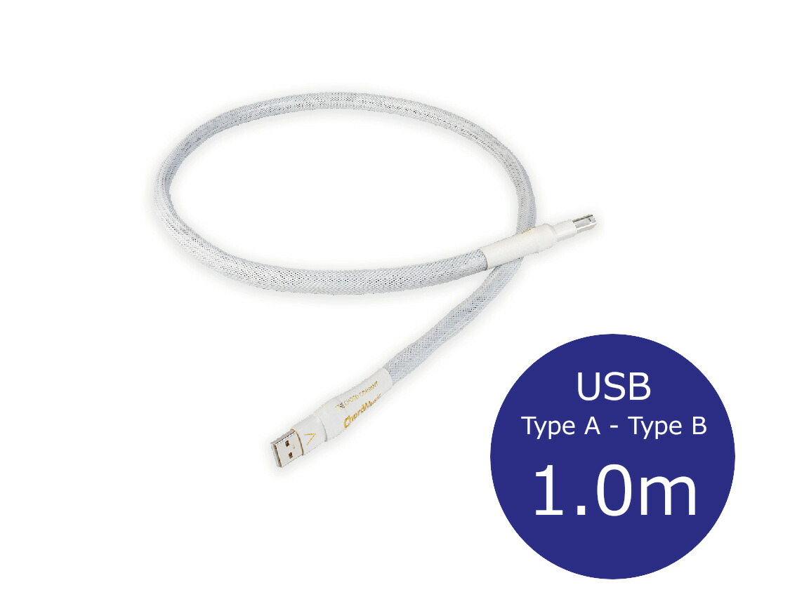 THE CHORD COMPANY ザ・コード・カンパニー ChordMusic USB USB有線テレビ (TypeA→TypeB/1.0m/1本)［国内定め事代わりになる店品］