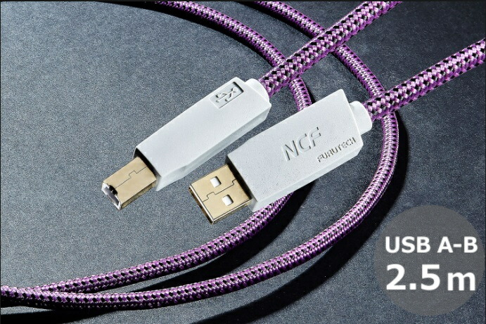 FURUTECH 盛りだくさんテック GT2 NCF USB-B-2.5M USB有線テレビ (USB A-B / 2.5m / 1本) [製造業者置き目品]