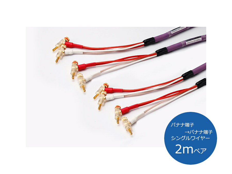 ORB オーブ INNOVA TS7 BBS2 金棒引き有線テレビ （バナナの木端子→バナナの木端子/シングル導線/2ｍ有りの実）