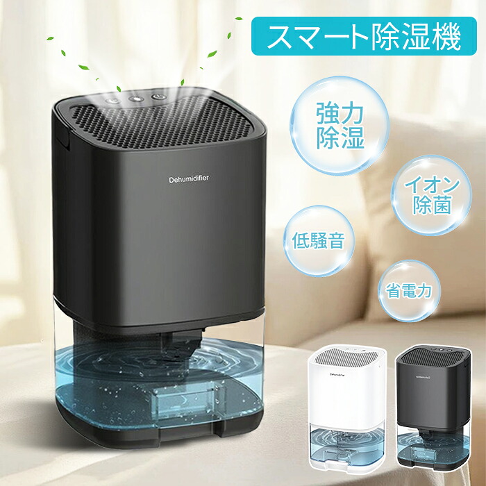 レディース 流行り物 特集