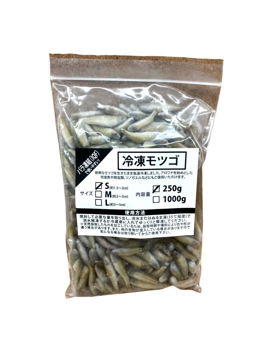冷凍カメジャコ　180匹 51d-Z7l02EL._AC_SY200_QL15_.jpg