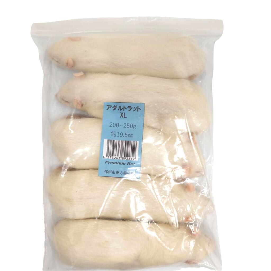 楽天市場】邑楽ファーム 冷凍プレミアムラット アダルトSS 20~30g 10匹