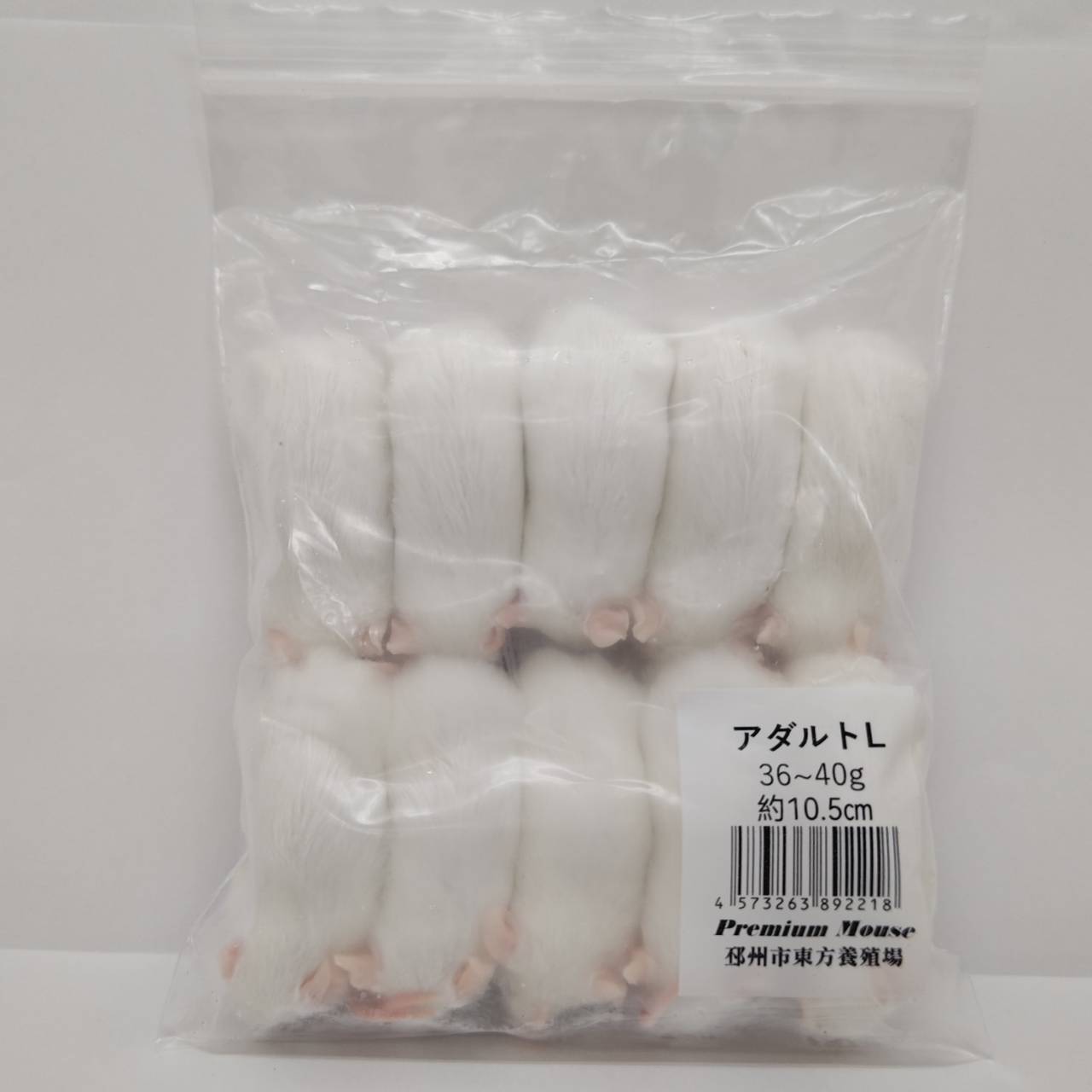 楽天市場】【冷凍】 冷凍マウス アダルトLサイズ（約30g）10匹パック