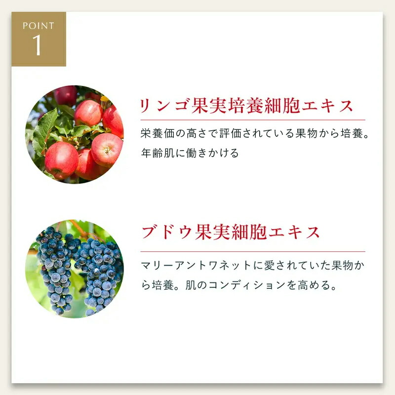 モイストオイル クレンジングウォーター【MEGUMI開発】Aurelie