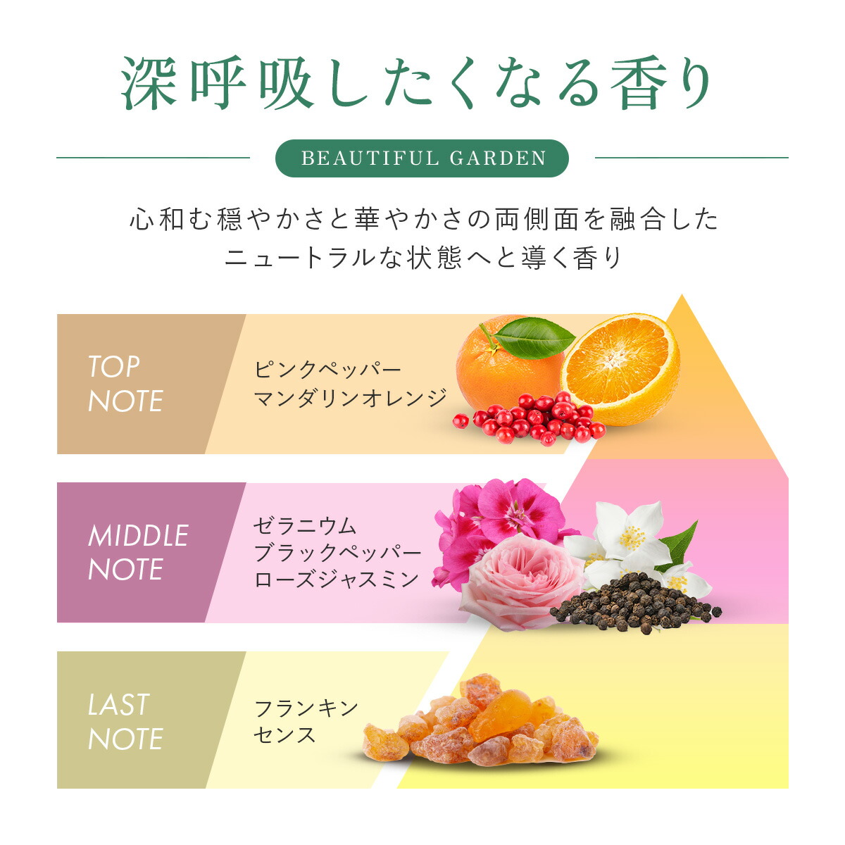 3STEP薬用エイジングケアセット 医薬部外品【MEGUMI開発】Aurelie
