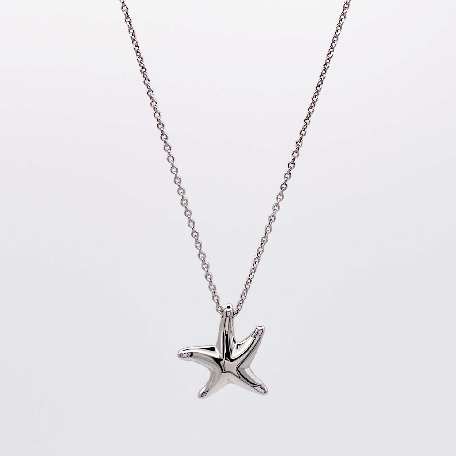 ティファニー　スターフィッシュブローチ　シルバー925 TIFFANY&Co. ティファニー ブローチ スターフィッシュ シルバー