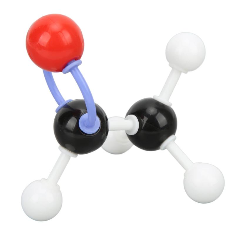 楽天市場】血液循環系模型アーテック 実験キット 自由研究 /生物
