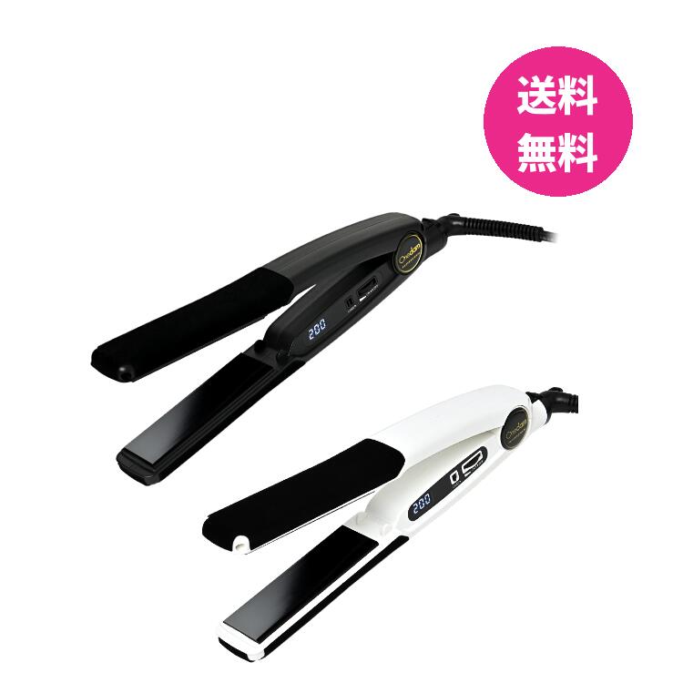 ワンダム R型アイロン The STANDARD AHI-252R Onedam ワンダム R型アイロン The STANDARD AHI-252R : maution