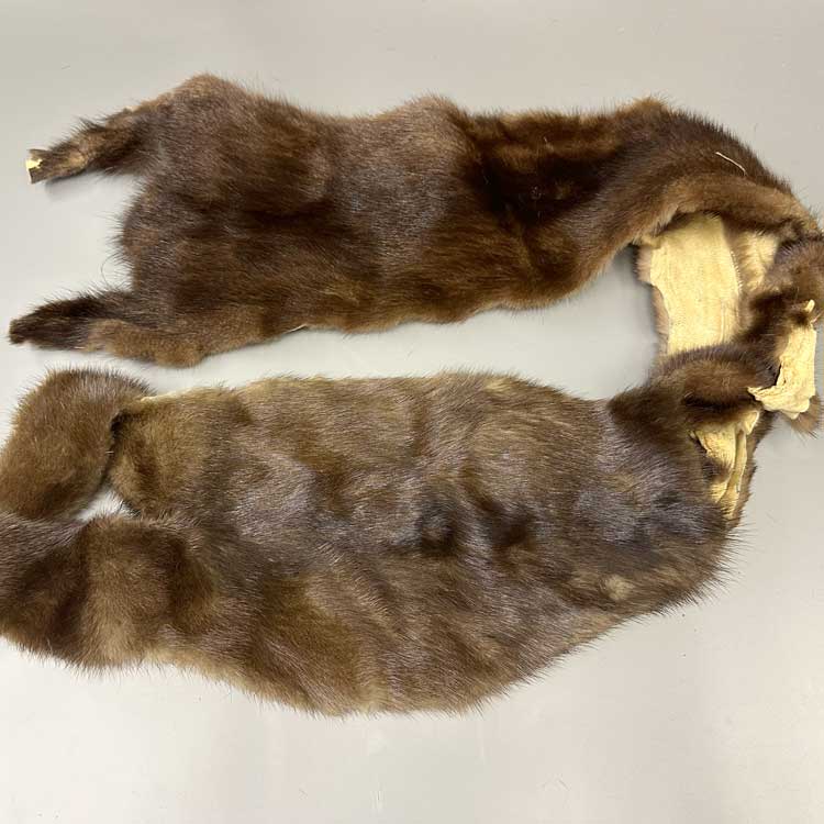 楽天市場】バジャー（アナグマ） 穴あき/アイデアでいろいろな用途に