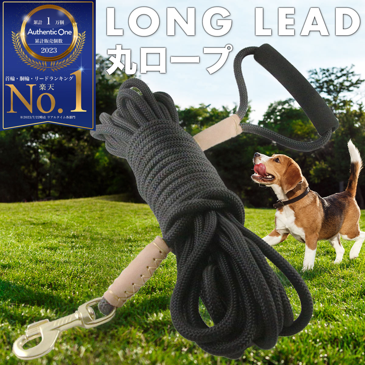 ロングリード 丸ロープ 犬用 楽天1位