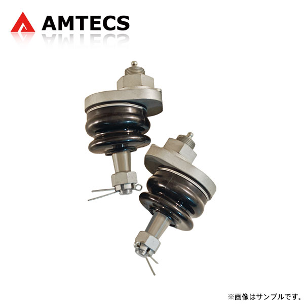 AMTECS アムテックス SPC 35102 交換用ボールジョイント 2個入り ※離島は送料要確認