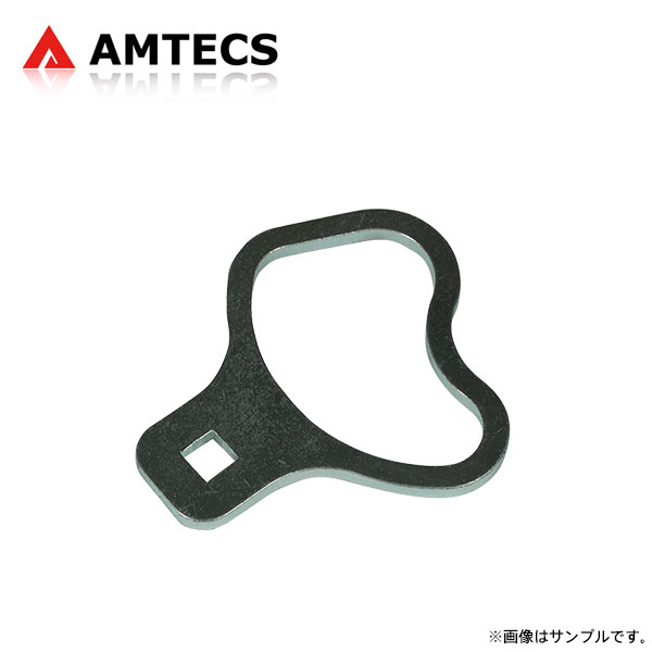 AMTECS アムテックス SPC 45940 アライメントカムプレート調整レンチ フロント用 シボレー エクスプレス 2003～2025 4WD/RWD ※離島は送料要確認｜オートクラフト