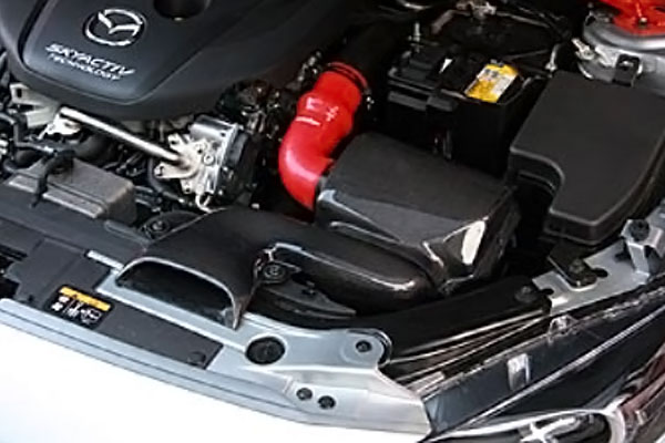 ー品販売 AutoExe オートエクゼ ラムエアインテークシステム アクセラ