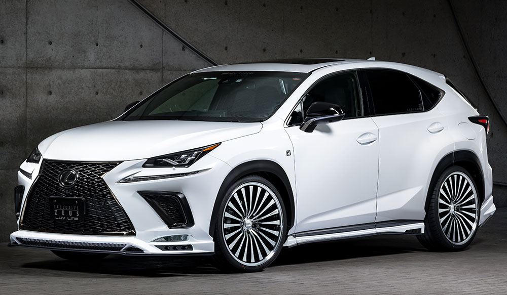 M'z SPEED 4点キット 未塗装 FRP レクサス NX300h AYZ10 AYZ15 H29.9～R3.10 ラヴライン 2361