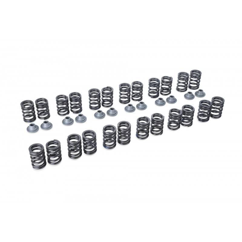 RSE リアルスピードエンジニアリング バルブスプリング タイプB スカイライン ECR33 ENR33 ER33 RB25DE/RB25DET