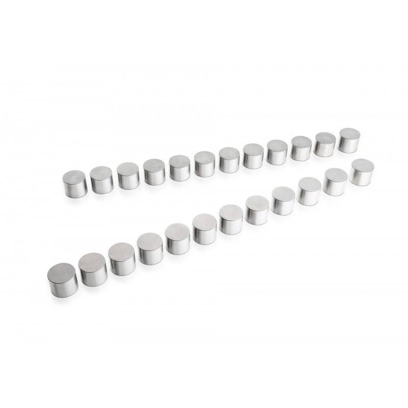 RSE リアルスピードエンジニアリング バルブリフターセット ソリッドタイプ スカイライン ECR33 ENR33 ER33 RB25DE/RB25DET