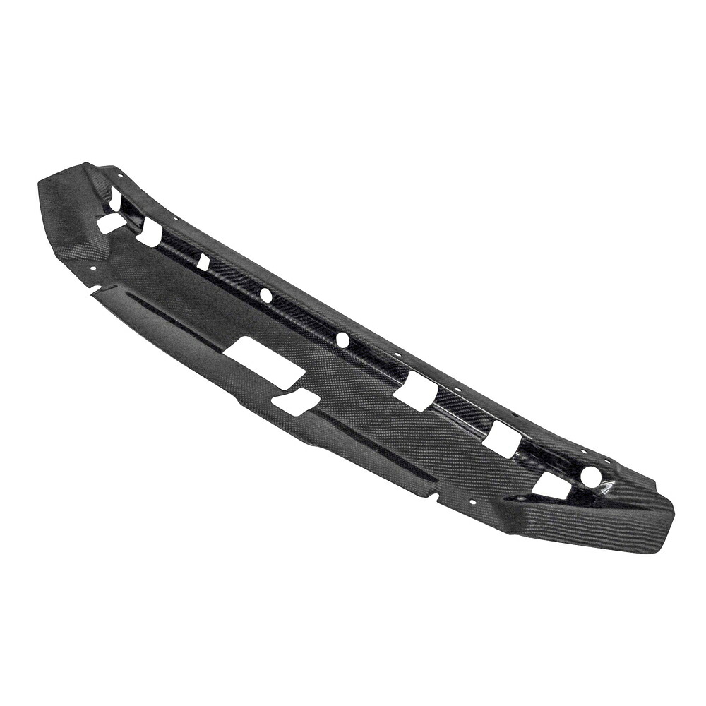 SEIBON セイボン カーボンラジエタクーリングパネル 光沢仕上げ スカイライン BNR34 H11.1～H14.12 GT-R他 日本仕様車 ※北海道・沖縄・離島は送料都度見積 ※個人宅配送不可｜オートクラフト