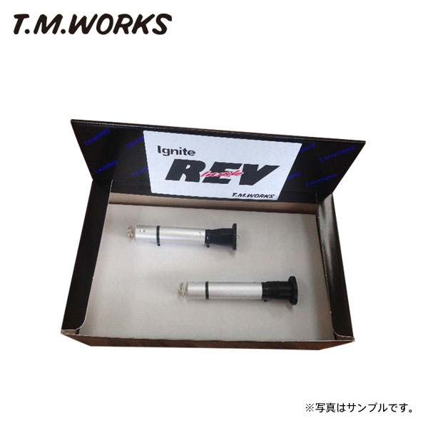 T.M.WORKS イグナイトレブ フィアット 500/500C ABA-31209 H23.3～ 312A2｜オートクラフト