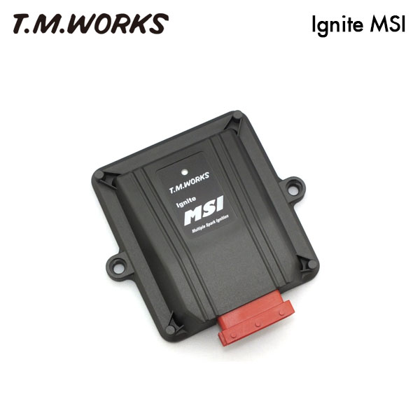 T.M.WORKS イグナイトMSI フォード マスタング DOHCターボ H26.11～ 4気筒車