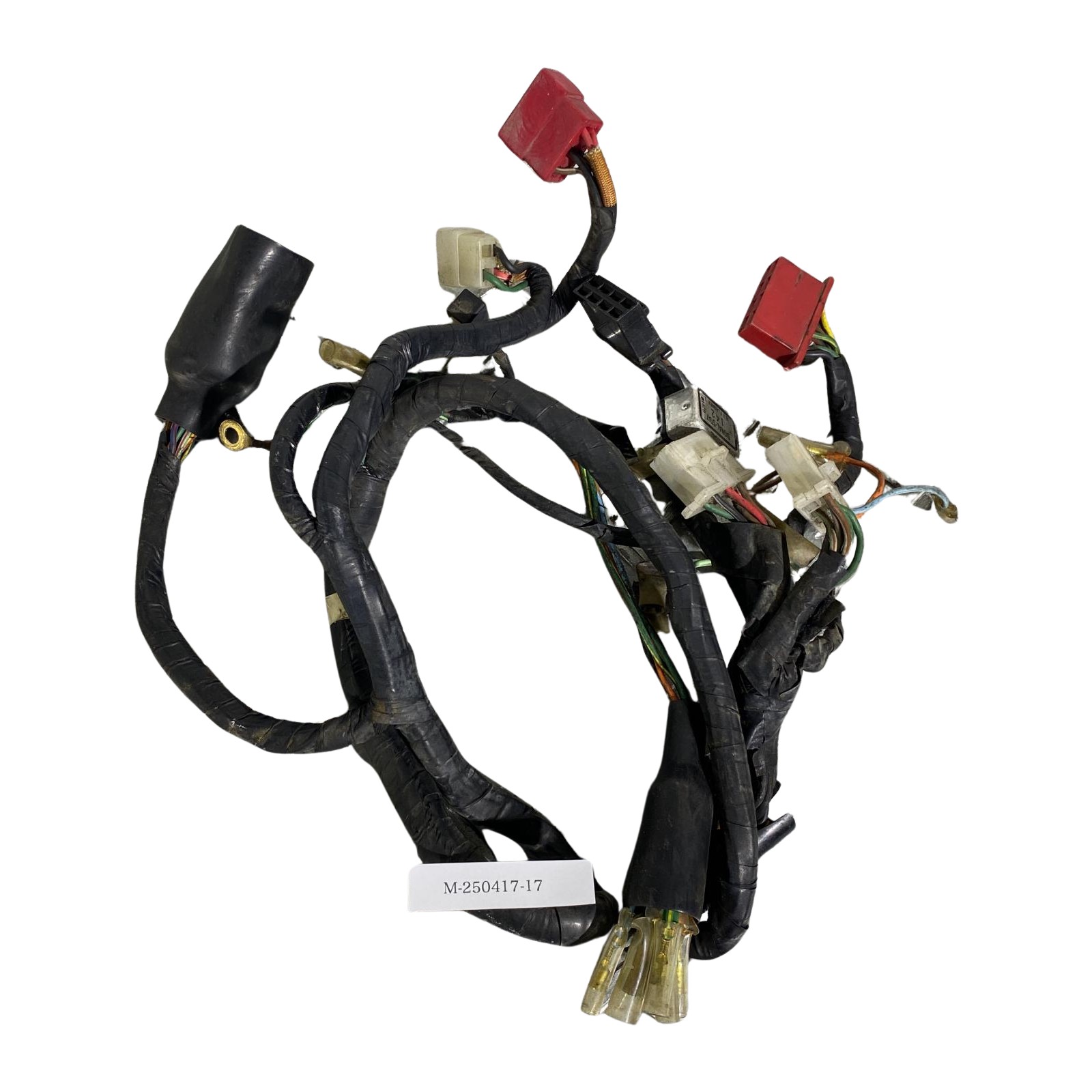 HONDA スティード600 メインハーネス ホンダ [M-250411-15] 楽天市場】HONDA スティード600 メインハーネス ホンダ : AUTO