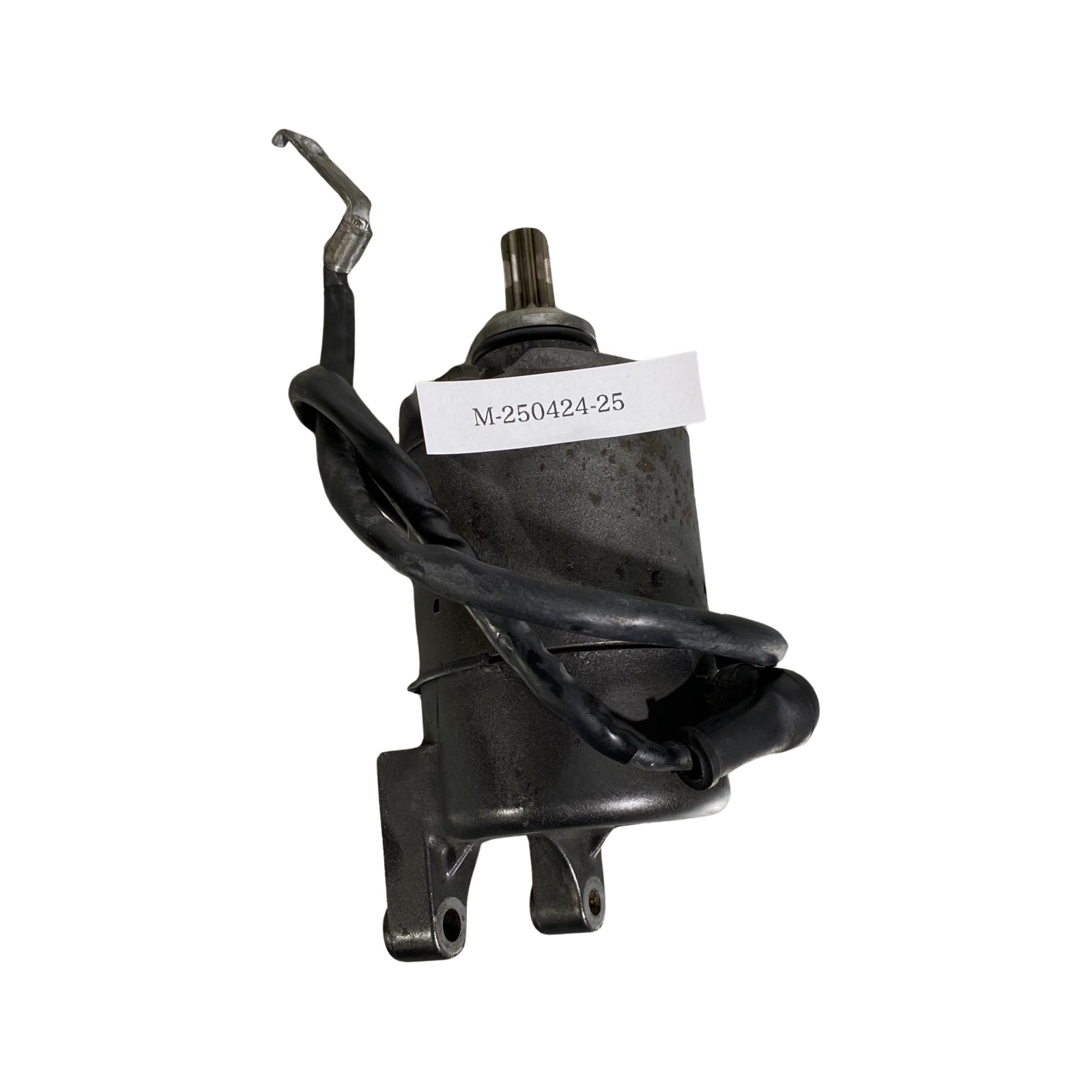 楽天市場】HONDA スティード600 セルモーター ホンダ : AUTO