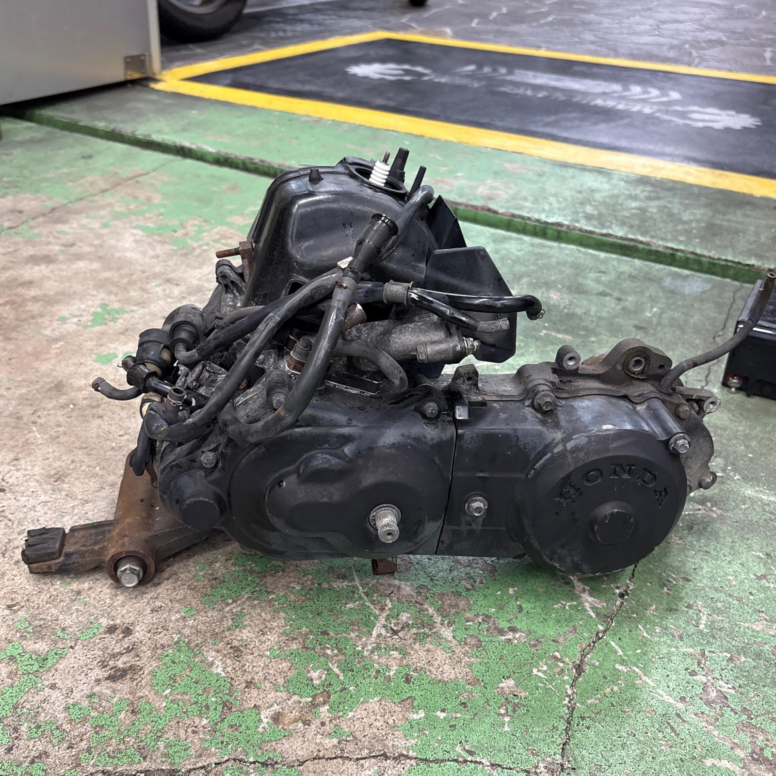HONDA タクト AF51 エンジン 始動確認済 ホンダ