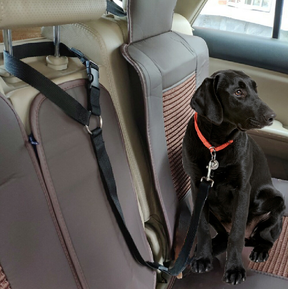 超歓迎 ペット用 シートベルト パープル リード ゲージ 散歩 旅行 犬 猫 ワンちゃん