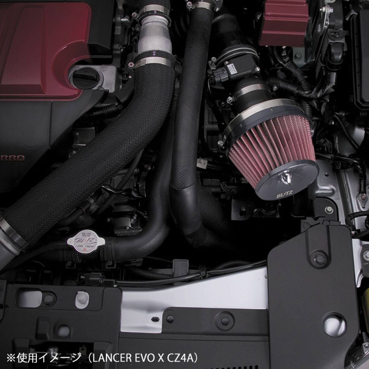 クリスマスローズ BLITZ(ブリッツ) SUS POWER AIR CLEANER LM RED