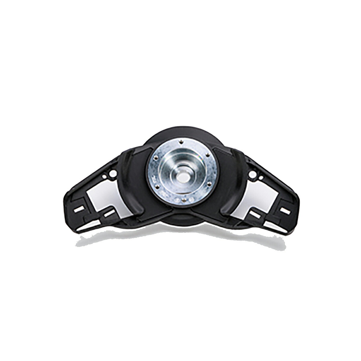 トトロスポア　soko　速達！ 大サイズ ビカクシダP.willinckii Totoro spore YMDS