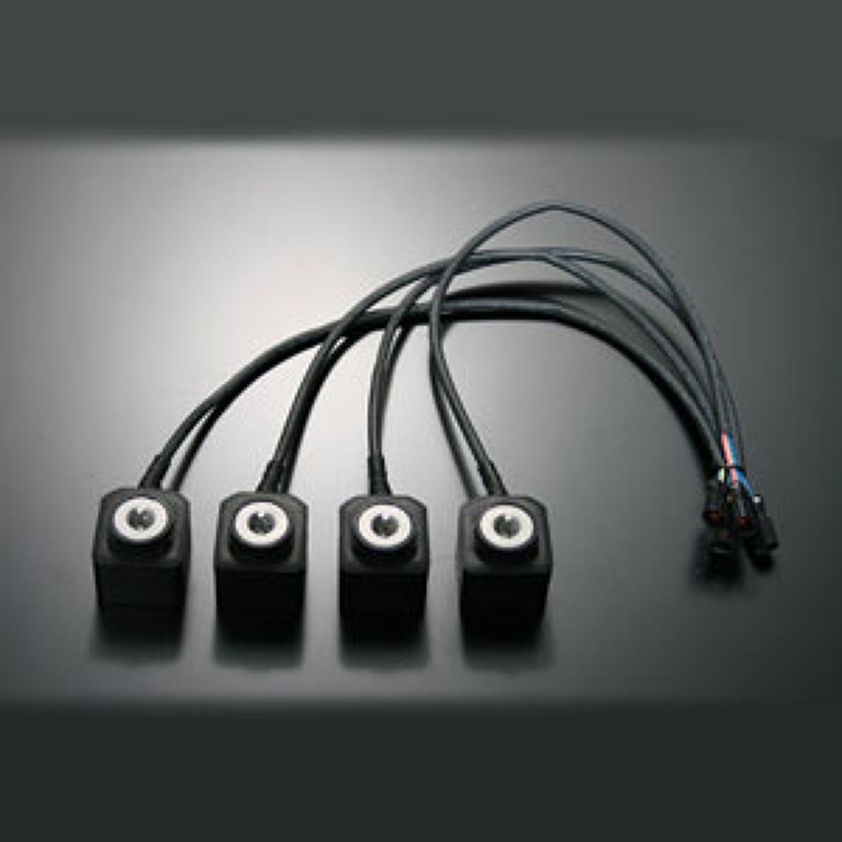 楽天市場】【先着＆時間別 最大700円OFFクーポン！23・24日限定