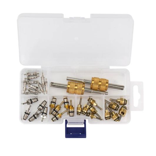 バルブ コア 2 ウェイ リムーバー ツール キット セット 適用: リーガル ビバリー フォルクスワーゲン/VOLKSWAGEN トヨタ ホンダ エラントラ R134A R12 SR-CC-1153 Car parts｜オートパーツエージェンシー