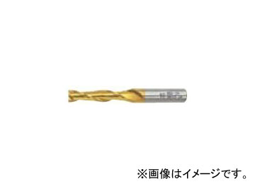 ナチ/NACHI 不二越 G ロングエンドミル 2枚刃 13粍 SL2GE13  long end mill blades