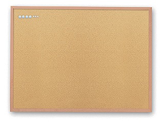 アスカ(Aska) マグピンコルクボード 3L CB353(46667)  mug pin cork board