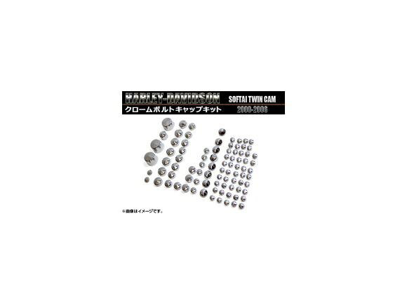 クロームボルトキャップキット ハーレーダビッドソン ソフテイル ツインカム 2000年～2006年 AP-CBCK004 2輪 Chrome bolt cap kit