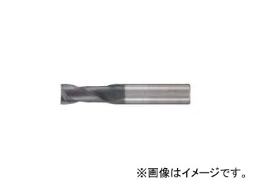 ナチ/NACHI 不二越 GSX MILL 2枚刃 2D 10粍 GSX21000C-2D  blade DIY・工具-その他-花・ガーデン・DIY