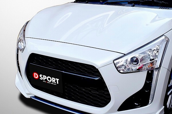 dsport_0113.jpg