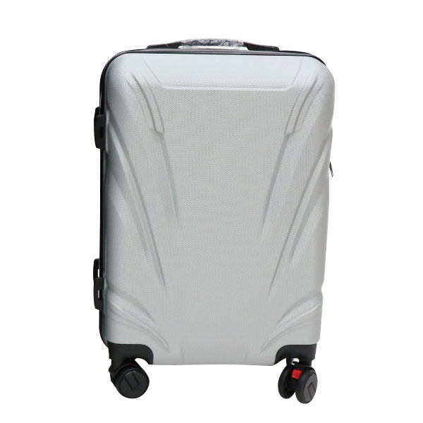 HIRO キャリーケース シルバー USD05 Eタイプ Sサイズ 約40L ABS樹脂製 TSAロック搭載 旅行やビジネスに carry case