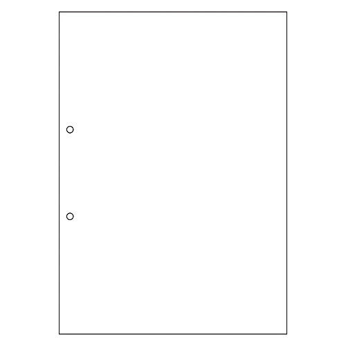 ヒサゴ マルチ印刷人帳票 A4 否炭素 新規まき直し 2穴 大入 FSCF2001Z(48758)  multi printer form